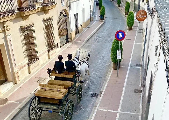 아파트 La Casa Del Brujo De La Guitarra 헤레스